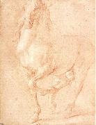 PUGET, Pierre Study of a Horse oil painting artist